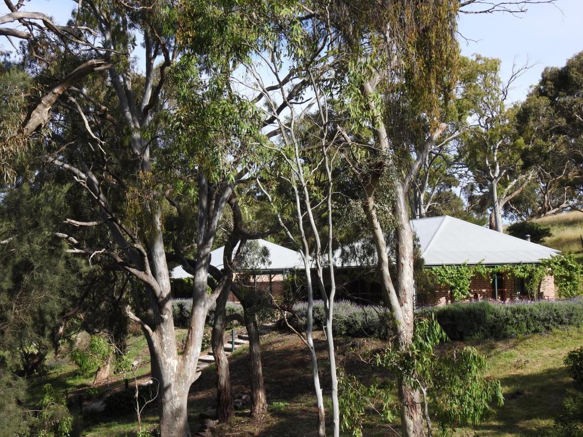 Battunga Cottages Watervale 외부 사진