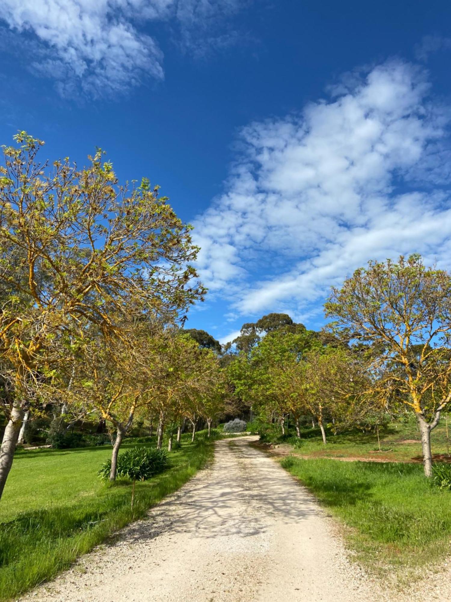Battunga Cottages Watervale 외부 사진